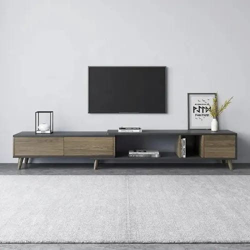 Modern TV Stand With Storage Space