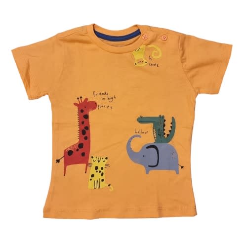 Boys' Short Sleeve T-shirt Orange
