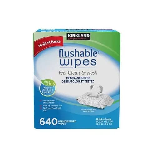 Kirkland Signature Flushable Wipes - 640counts