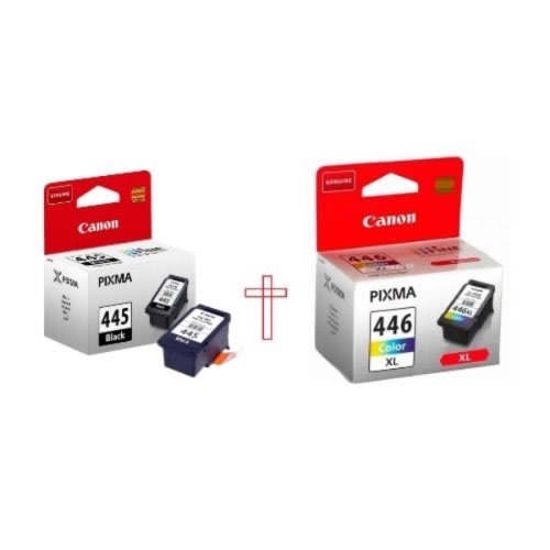 Ink - 445 Black And 446 Color