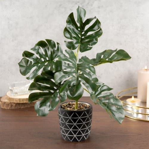Artificial Monstera Plant In Cement Pot Decorative - 38 Cm