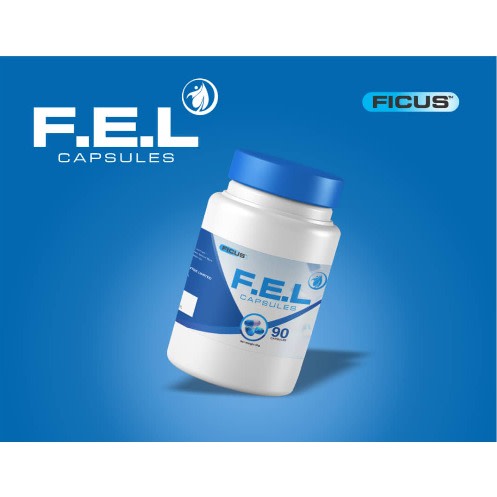 Ficus F.E.L - 90 Capsules