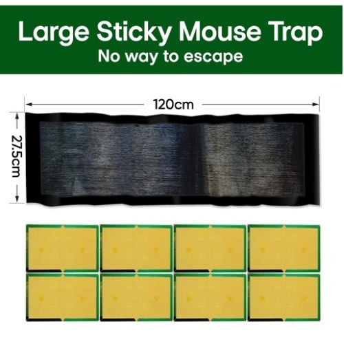 Large Sticky Mouse Trap Rat Gum Trap + Bonus Pair Of Gloves - 5 Pcs | Black