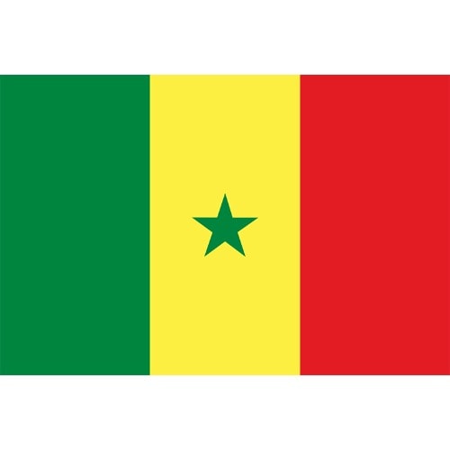Senegal Outdoor Flag - 3 X 5 Feet