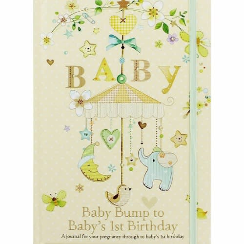 Baby Bump To Baby's 1st Birthday Journal