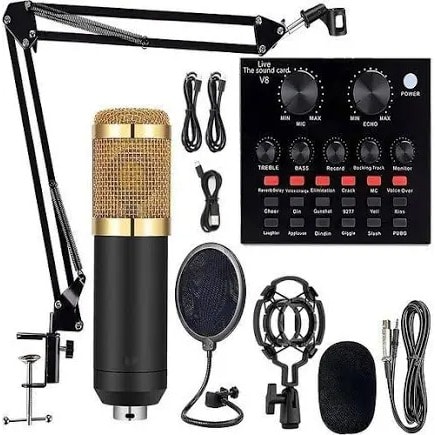 Professional Studio Condenser Microphone