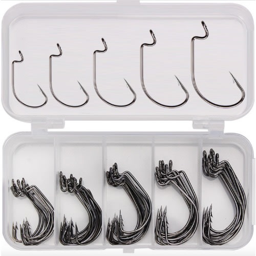 Fishing Hook Box - 50 pc
