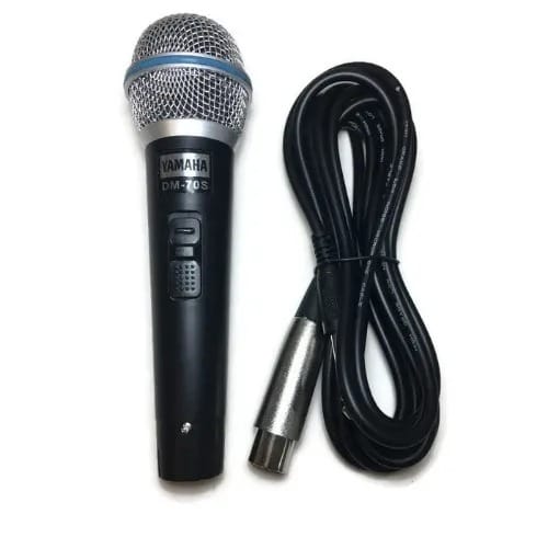 Professional Studio Microphone