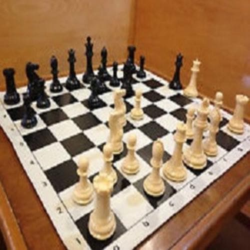 Standard & Professional Tournament Chess Set