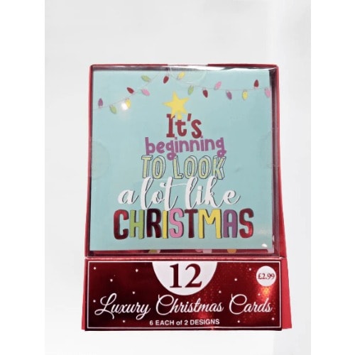 Bright Christmas Cards In Acetate Box 12's - 2