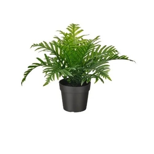 Egv-artificial Potted Plant - Green