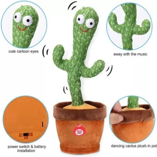 Dancing Cactus