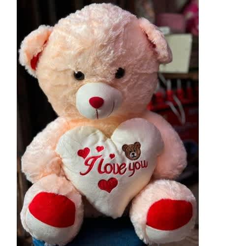 Quality Teddy Bear 50cm