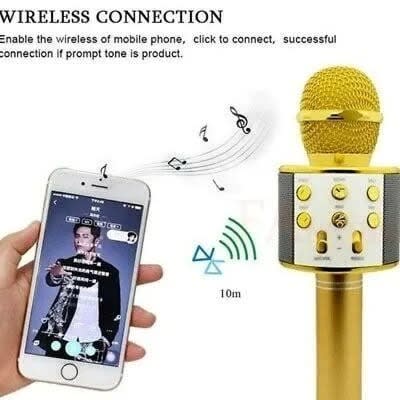 Wireless Microphone Hifi Speaker