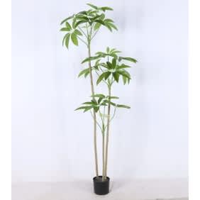Artificial Schefflera Tree - 180cm