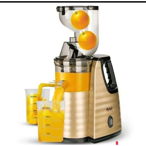 Raf Slow Masticating Fruit Juicer- Juice Extractor