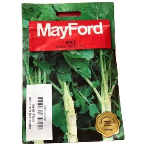 Kale Seed (chou Moellier) -10g