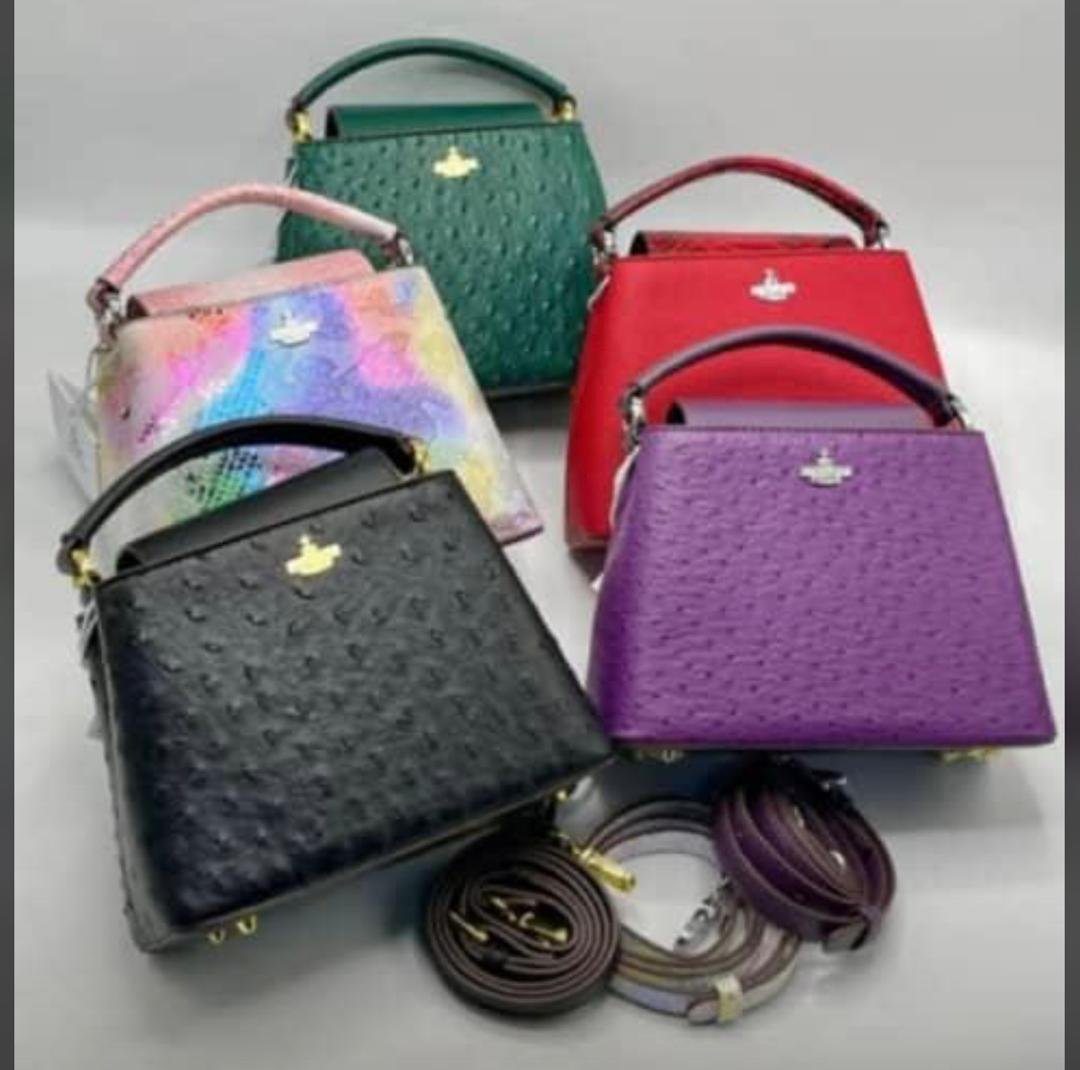 Beautiful Chic Handbag for Women