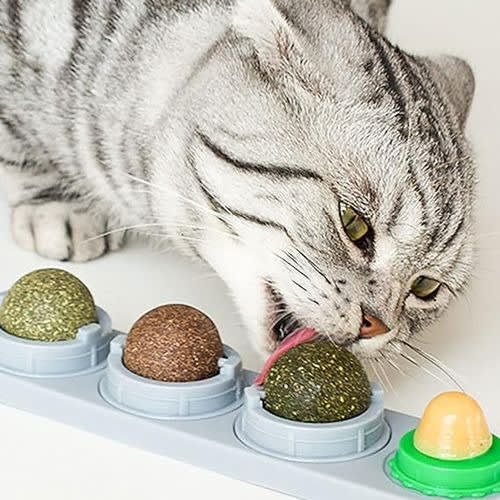 TD Catnip Lollipop Wall Chew Ball Toy - Grey