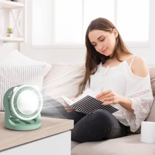 Desktop Lamp Circulating Fan