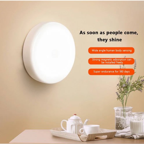Motion Sensor Smart Light