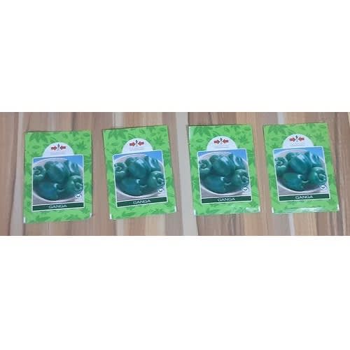 Ganga Green Bell Pepper Seeds 4 Packs