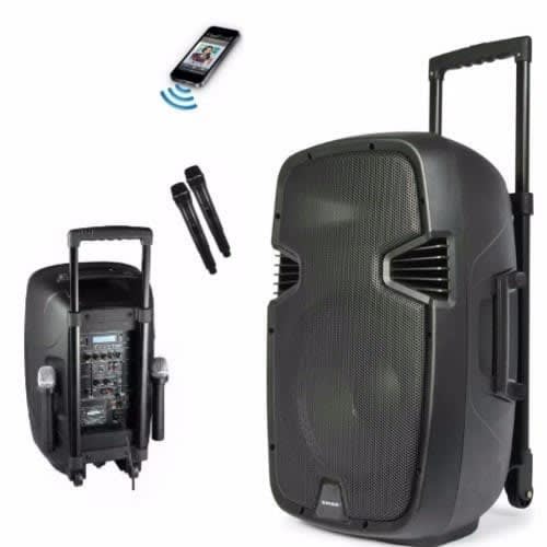 Rechargeable Bluetooth PA System With Wireless Microphone And Radio