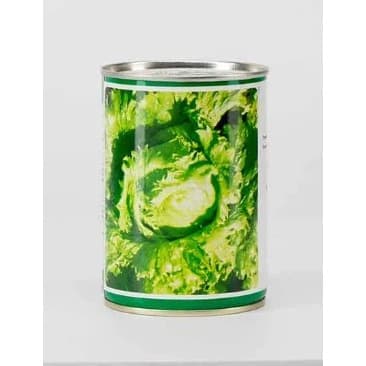 Hybrid Eden Lettuce Seeds (iceberg) - 100g