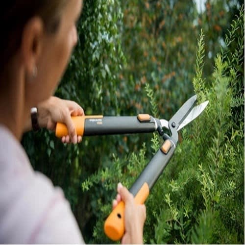 Superior Hedge Shears