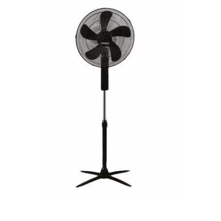 Standing Fan