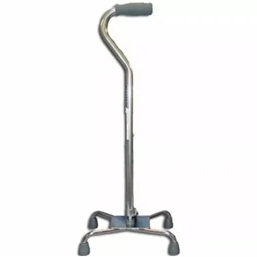 Walking Stick - Tetrapod