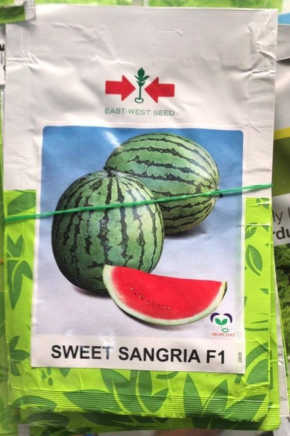 Sweet Sangria F1 - Hybrid Watermelon Seed 10g 100seeds