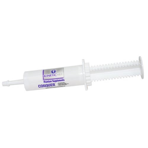 Kineticvet Conquer 6-serving Gel 60 Cc