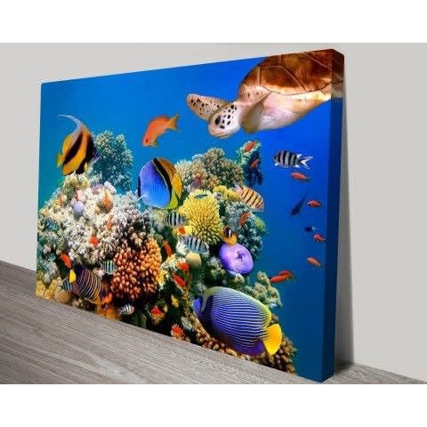 Sea Animal Canvas - 90cm x 67cm