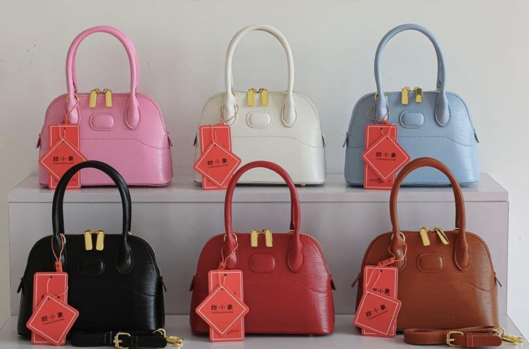 Beautiful Chic Handbag for Women