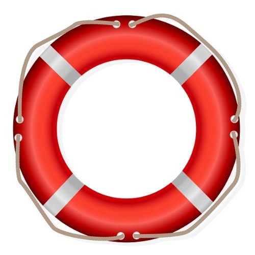 Marine Life Buoy - 2.5kg