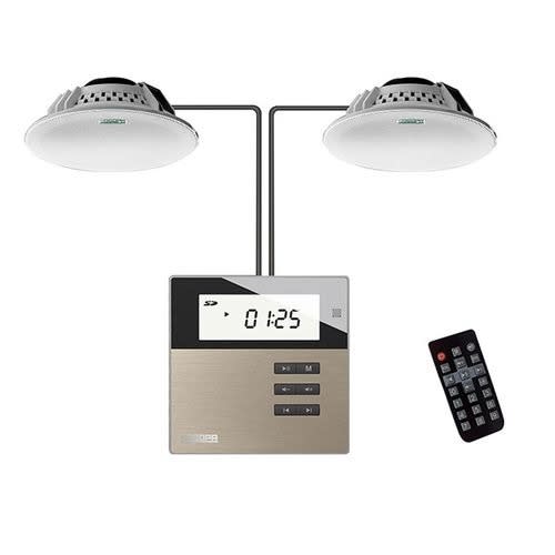 DSPPA Home Music Player - Wall Amplifier Plus 2 Pcs Ceiling Speakers