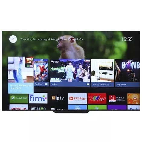 A8F 4K UHD-HDR-OLED Television - XBR55A8F