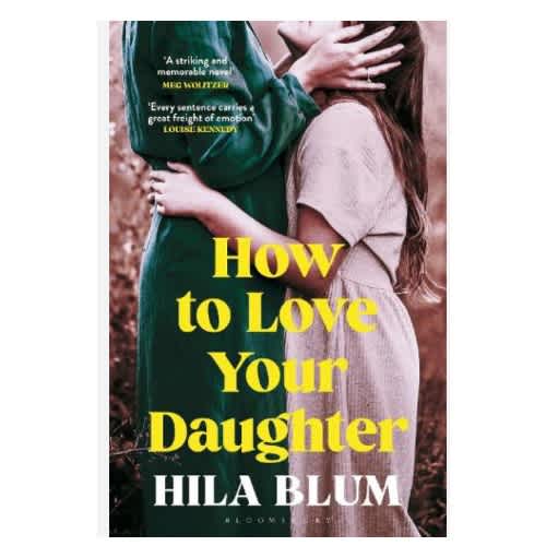 How To Love Your Daughter: A Novel