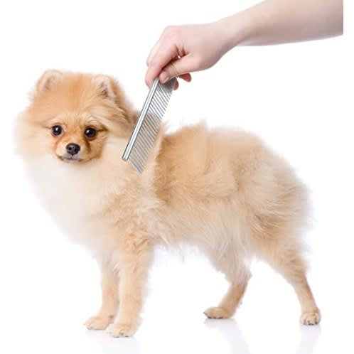 TD Stainless Steel Pet Comb - Small