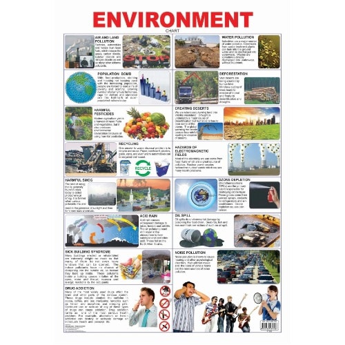 Environment Educational Laminated Wall Chart