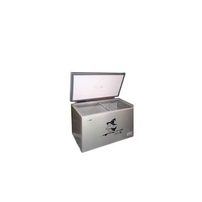 Snowsea ENERGY SAVING CHEST FREEZER BD-370G 300L