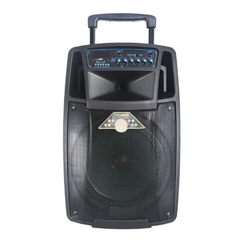 15" Trolley Rechargeable Pa Speaker With Two Wireless Mics, Bluetooth, USB & FM Radio