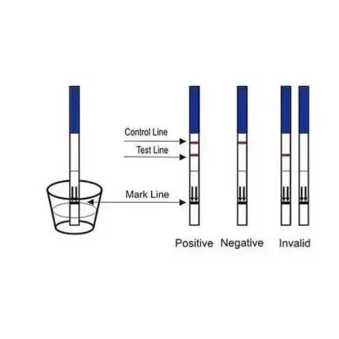 Pregnancy Test Strips - 50 Strips