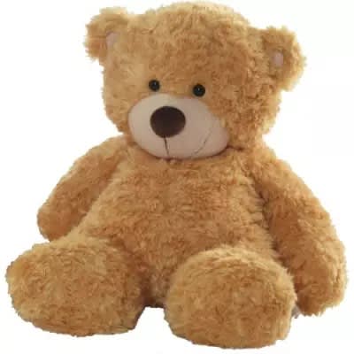 Teddy Bear Gift Honey 30 inch
