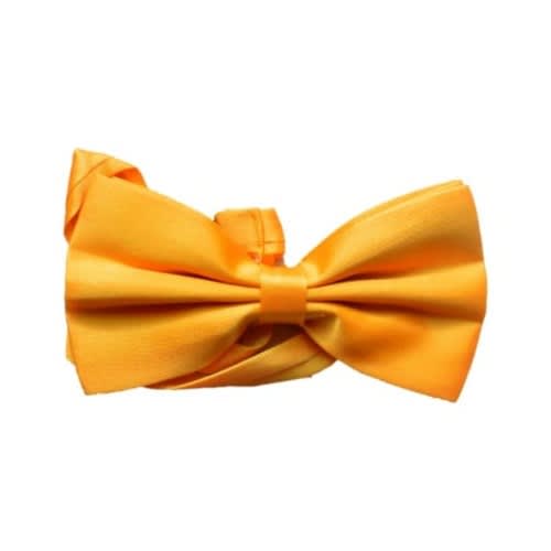 Fashionkids Men's Bow Tie- Golden Yellow