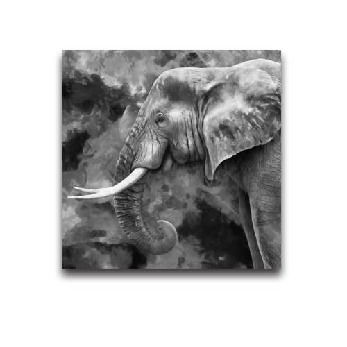 Artist Elephant Wall Canvas