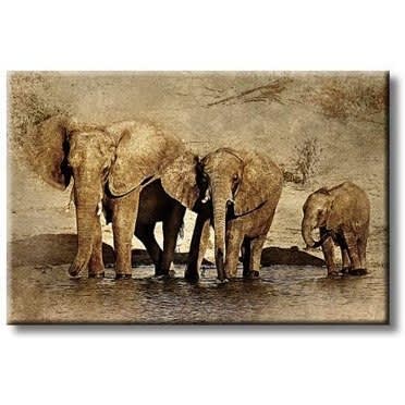 Elephant Single Panel Canvas