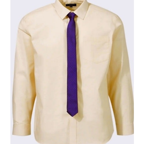 Men's Formal Shirt With Matching Tie  - Light Yellow And Purple