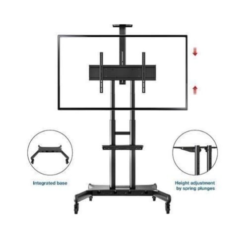 Mobile Television Stand With Mount